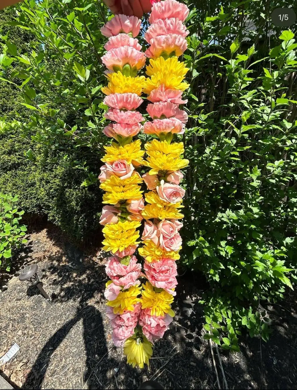 Traditional South Asian wedding garland haar with fresh roses and jasmine flowers for ceremony rituals